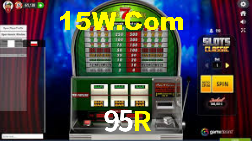 Premium Interface 95R