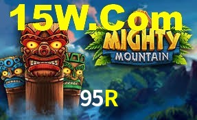 Player Reviews 95R